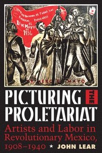 bokomslag Picturing the Proletariat