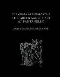 bokomslag The Chora of Metaponto 7