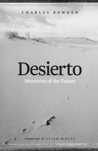 bokomslag Desierto