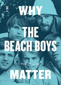 bokomslag Why the Beach Boys Matter