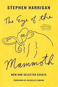 bokomslag The Eye of the Mammoth