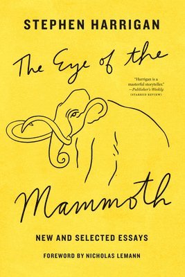 bokomslag Eye of the Mammoth