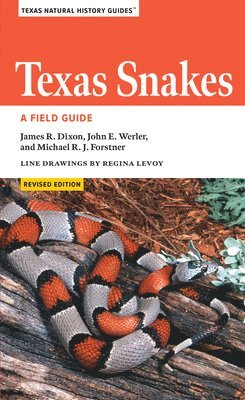 Texas Snakes 1