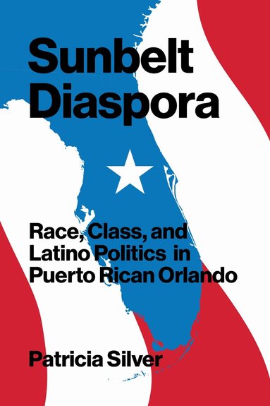 Patricia Silver - Sunbelt Diaspora, Inbunden