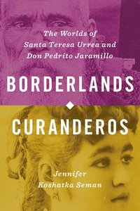 bokomslag Borderlands Curanderos