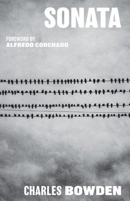 Charles Bowden - Sonata, Inbunden