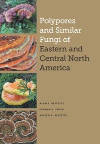bokomslag Polypores and Similar Fungi of Eastern and Central North America