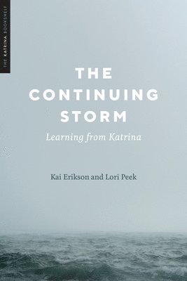 The Continuing Storm 1