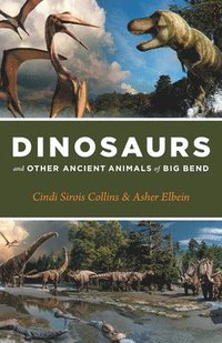 bokomslag Dinosaurs and Other Ancient Animals of Big Bend