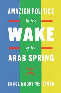 bokomslag Amazigh Politics in the Wake of the Arab Spring