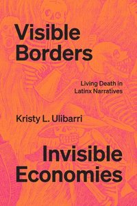 bokomslag Visible Borders, Invisible Economies