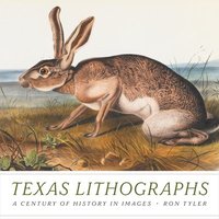 bokomslag Texas Lithographs