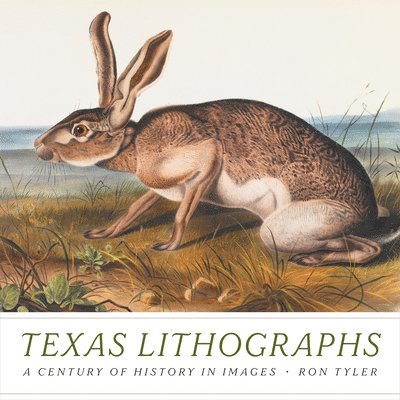 Texas Lithographs 1