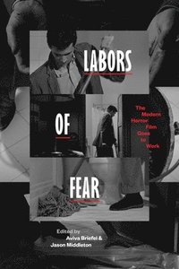 bokomslag Labors of Fear