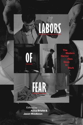Aviva Briefel, Jason Middleton - Labors of Fear, Inbunden