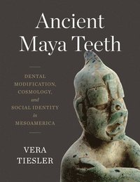 bokomslag Ancient Maya Teeth