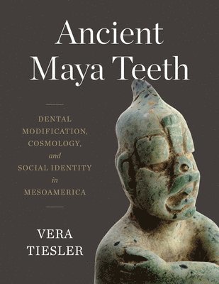 Ancient Maya Teeth 1