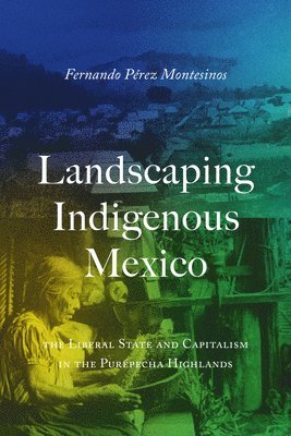 bokomslag Landscaping Indigenous Mexico