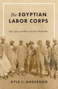 bokomslag Egyptian Labor Corps