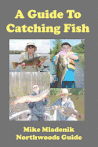 A Guide To Catching Fish 1