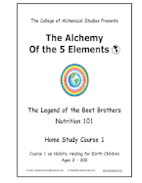 bokomslag The Alchemy of the 5 Elements: The Legend of the Beet Brothers - Course 1