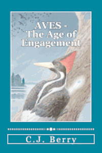 bokomslag AVES - The Age of Engagement