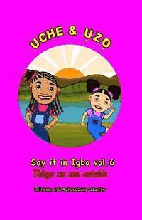 Uche and Uzo Say it in Igbo vol.6: Vol.6 Things we see outside 1