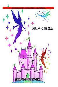 bokomslag Briar Rose