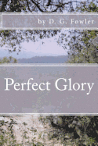 bokomslag Perfect Glory