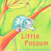 bokomslag Little Possum