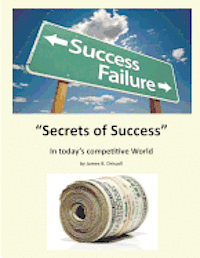 bokomslag The Secret of Success: Good Qualities that Lead to Success