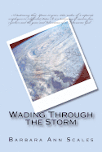 Wading Through the Storm 1