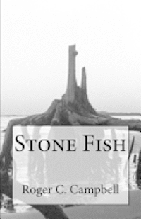bokomslag Stone Fish