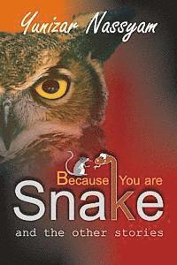 bokomslag Because You are Snake