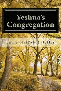 bokomslag Yeshua's Congregation: Sharing and Discipling