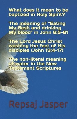 Repsaj Jasper - What does it mean to be "baptized in Holy Spirit"?, Häftad