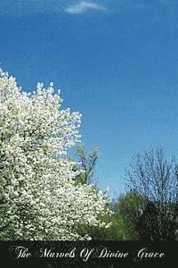 bokomslag The Marvels Of Divine Grace: Meditations Based On The "Glories Of Divine Grace"