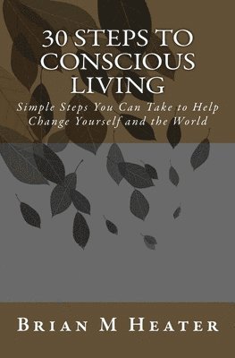 bokomslag 30 Steps to Conscious Living: Simple Steps You Can Take to Help Change Yourself & the World