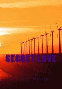 bokomslag Secret Love: Secret Love