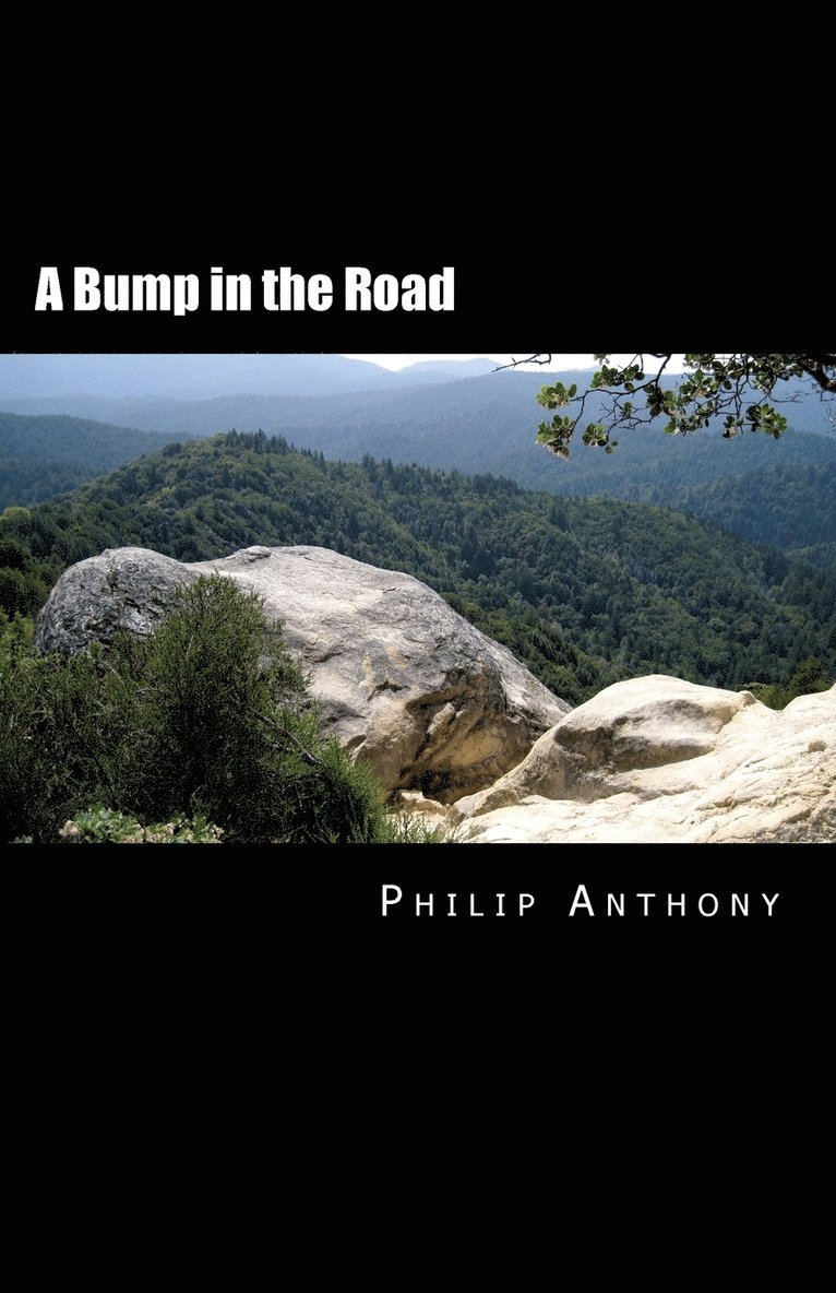 A Bump in the Road 1