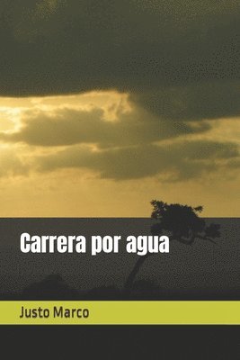 bokomslag Carrera por agua