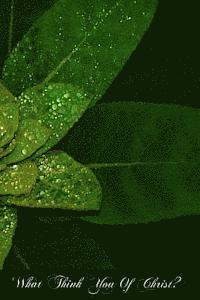 Francis H. E. Cahusac M. a. - What Think You Of Christ?: Is The Christ Of The Catholic Church The Christ Of The Gospels?, Häftad