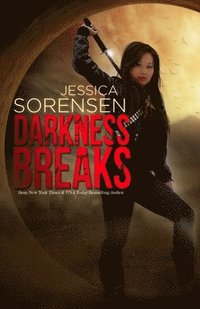bokomslag Darkness Breaks