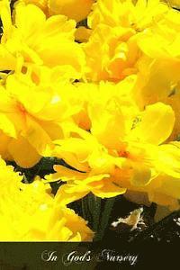 C. C. Martindale S. J. - In God's Nursery, Häftad