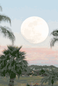 John W. Gilmore D. Min - Fulfilling The Prophecies: Book Four of the Keran Chronicles, Häftad