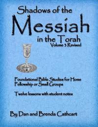 bokomslag Shadows of the Messiah in the Torah Volume 3
