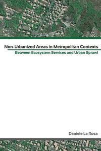 bokomslag Non Urbanised Areas in Metropolitan context: Between Ecosystem Services and urban sprawl