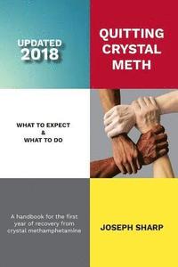 bokomslag Quitting Crystal Meth: What to Expect & What to Do: A Handbook for the first Year of Recovery from Crystal Methamphetamine