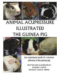 bokomslag Animal Acupressure Illustration The Guinea Pig