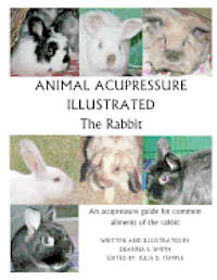 bokomslag Animal Acupressure Illustrated The Rabbit